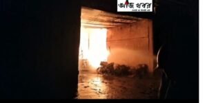 আগুন-জ্বলেছে-টানা-২০-ঘণ্টা