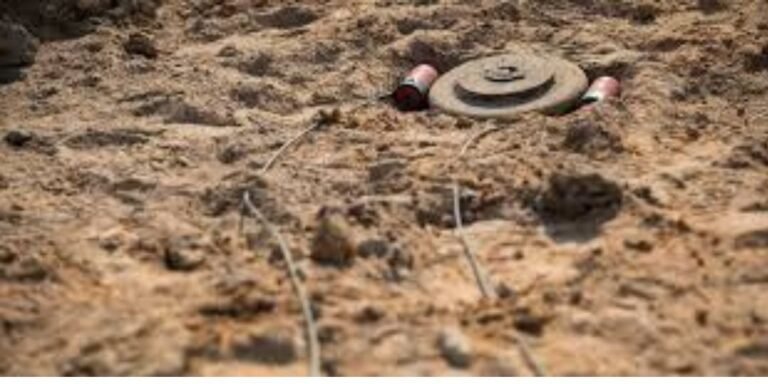 landmine news1
