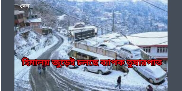 snow fall news1