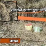 boma news11 1