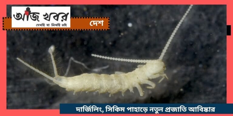 poka news1