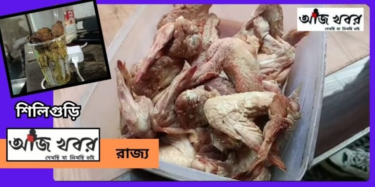 sili news1
