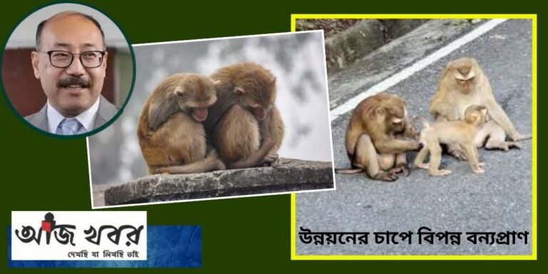 hvs news1