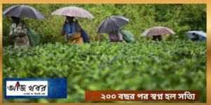 স্বপ্ন হল সত্যি ! ২০০ বছর পর জমির মালিকানা পেলেন চা শ্রমিকরা 