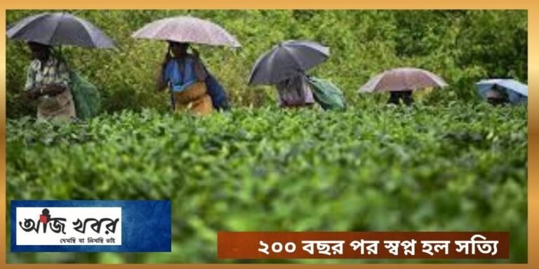 tea news1
