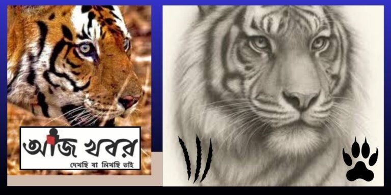 tiger news1 1