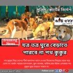 dog news1