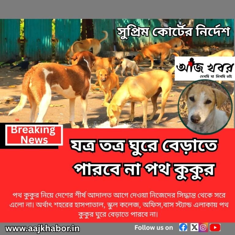 dog news1