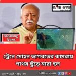 stone news1