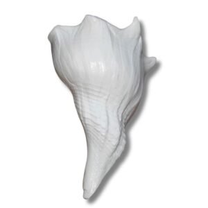 sankhya