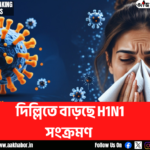 h1n1 canva edit