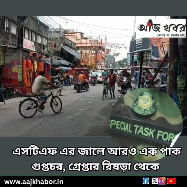 stf news1 1