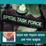stf news1
