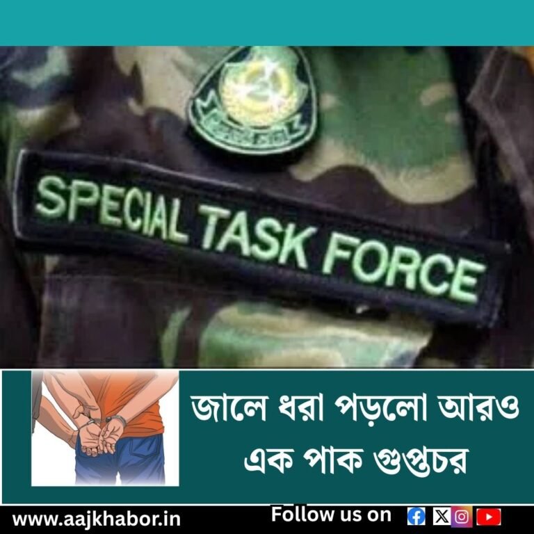 stf news1