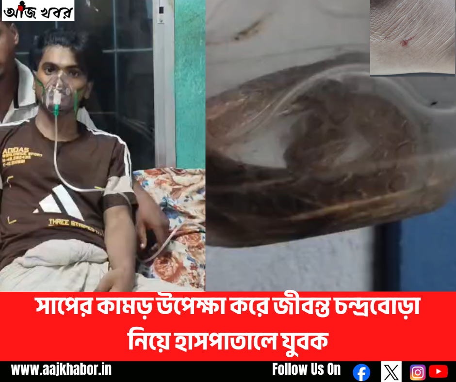 সাপের কামড় উপেক্ষা করে জীবন্ত চন্দ্রবোড়া নিয়ে হাসপাতালে যুবক সাপের কামড় উপেক্ষা করে জীবন্ত চন্দ্রবোড়া নিয়ে হাসপাতালে যুবক