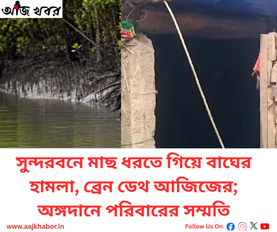 সুন্দরবনে বাঘের হামলায় ব্রেন ডেথ আজিজ, অঙ্গদানে পরিবারের সম্মতি