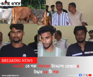 নলহাটি তে গরু পাচারের উদ্দেশ্যে গ্রেপ্তার ৪